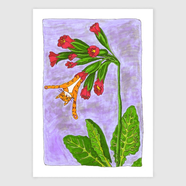 An art print of a whimsical drawing featuring Superpussy-an orange tabby cat with his paws in the air-hanging upside-down, blossoming out of a red flower. Purple background.