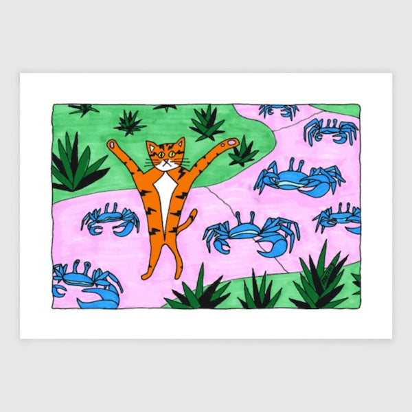 Superpussy walking on a path with the Blue Crabs