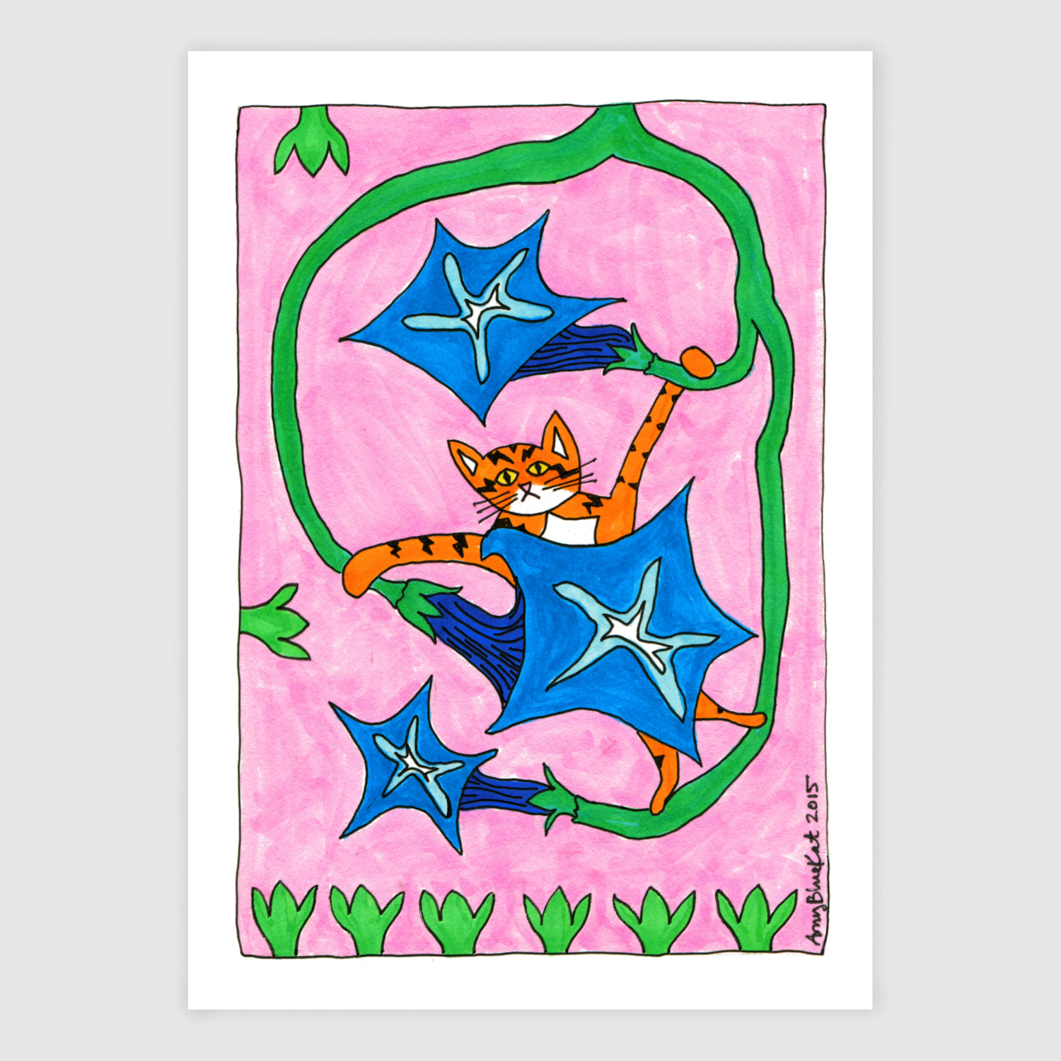 A fun drawing of a tabby cat hanging on a morning glory vine with three blue flowers. Pink background.